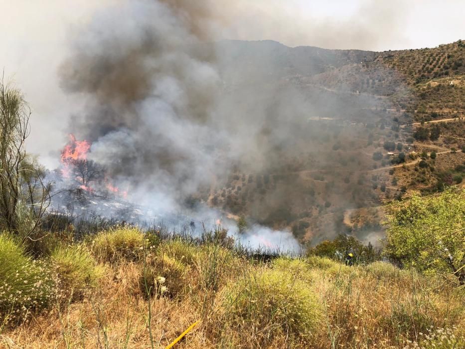 Incendio en los Montes de Málaga