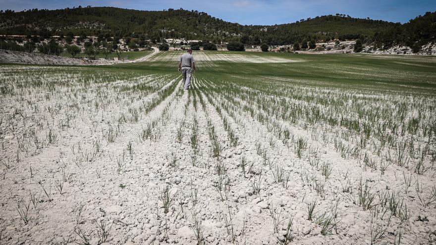 Alerta amarilla por tormentas y granizo en el interior de Alicante