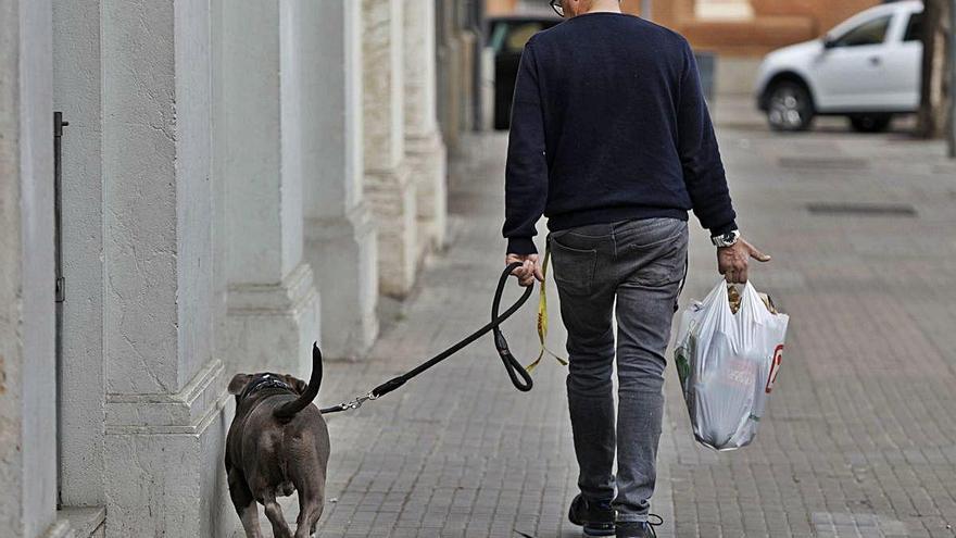 Un home passejant un gos per Girona.