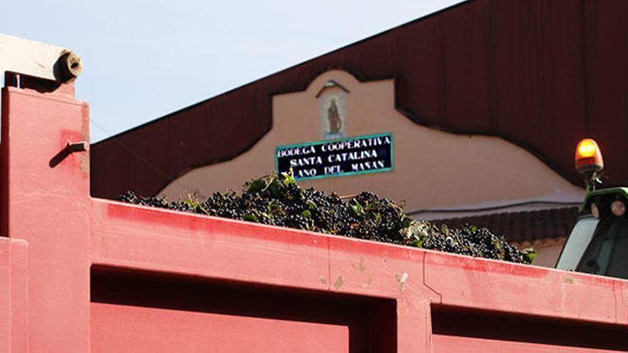 Bodegas Santa Catalina.