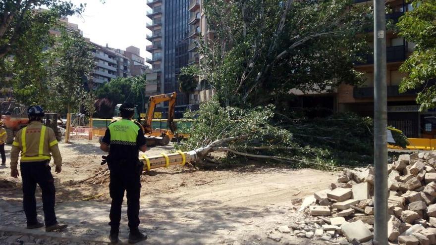 Reobren el trànsit a la carretera de Vic, que havia quedat tallat per la caiguda de dos arbres