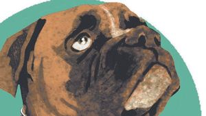 Primera sentència a Espanya amb la llei de benestar animal per no allunyar un gos de la seva cuidadora