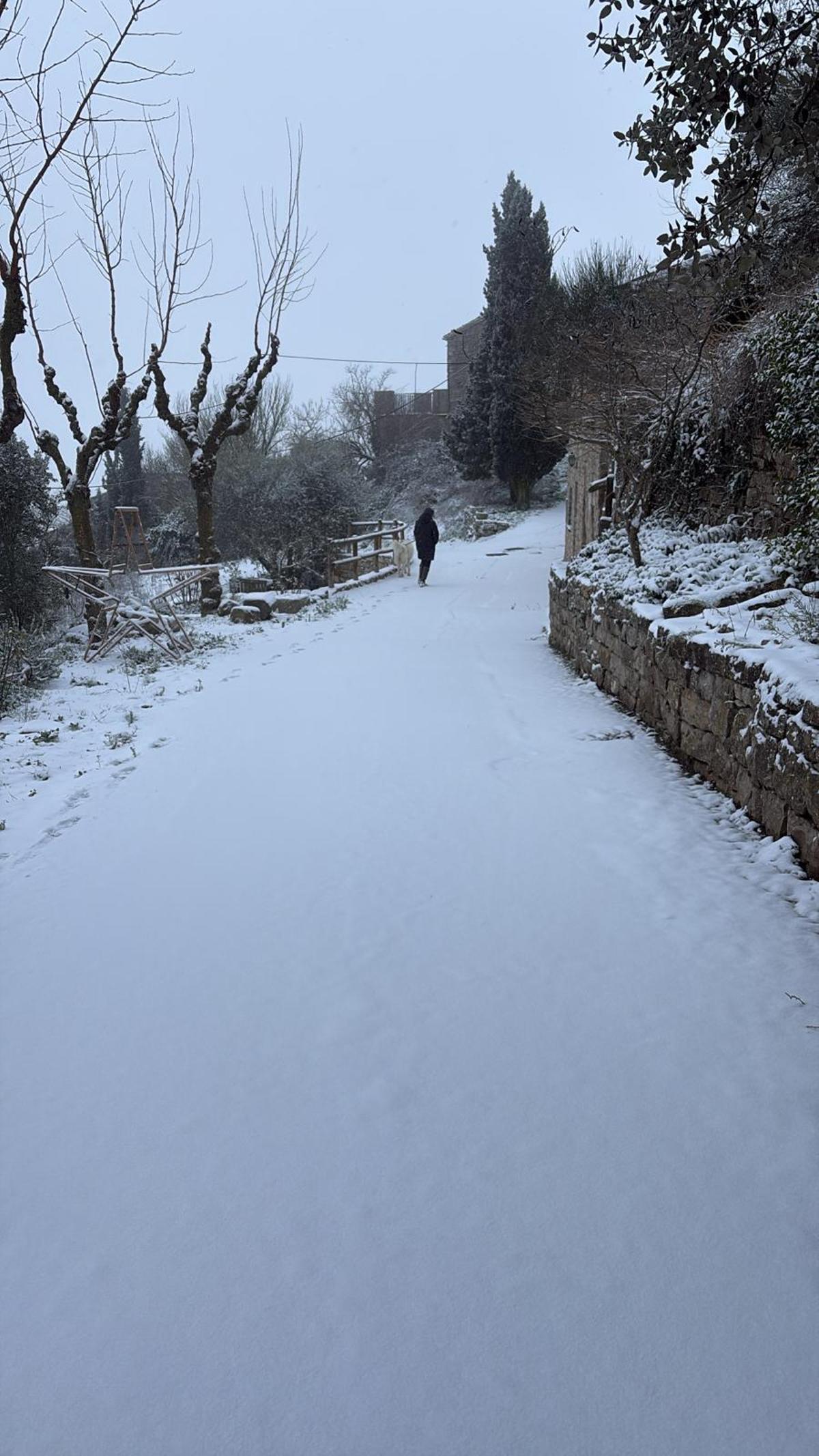 La nevada d'aquest dilluns a la Guàrdia Pilosa, Pujalt
