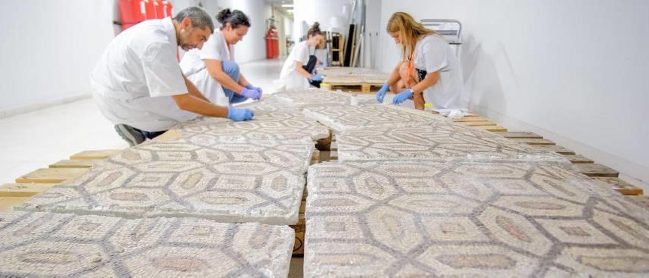El equipo de restauración del MARQ ya está trabajando en el mosaico romano de Petrer, que fue trasladado a mediados de agosto desde el Museo Dámaso Navarro.
