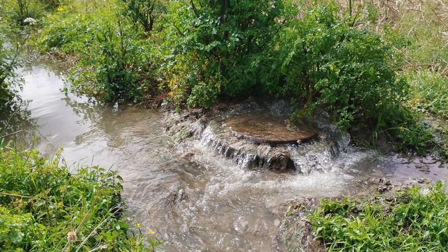 Resurge el vertido de aguas fecales junto al río Chanca en Meaño