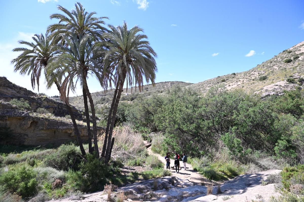 El Pantano de Elche, con excursionistas en el segundo Lunes de Mona.