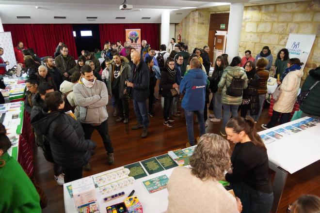 GALERÍA | Día Internacional de la Diversidad Funcional