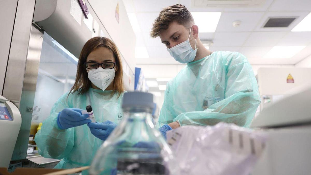 Dos profesionales registran muestras de casos humanos de mpox, en una imagen de archivo.