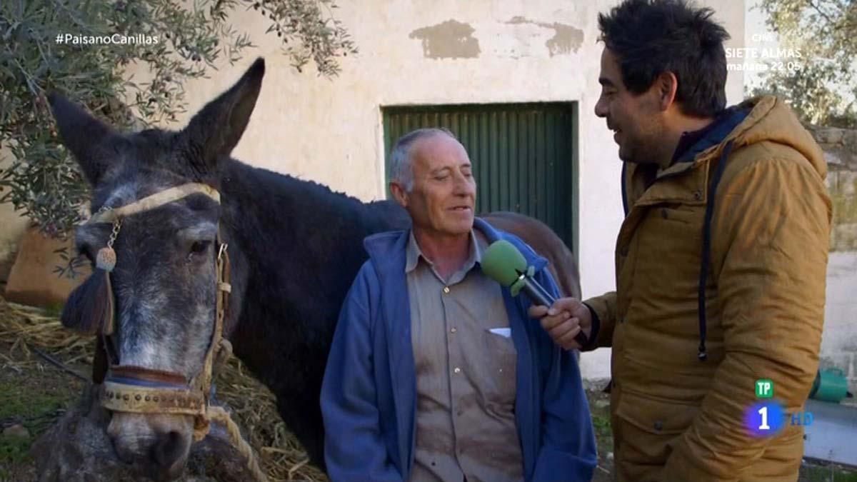 Toñi, la mula de Canillas (’El Paisano’, TVE).