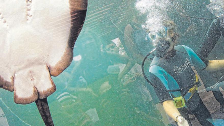 Frau bei Tauchkurs ertrunken: Palma Aquarium zahlt 300.000 Euro an die Angehörigen