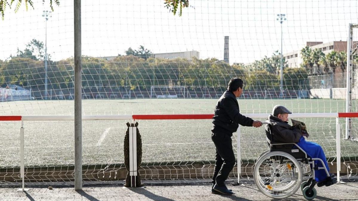 Paseo en silla de ruedas