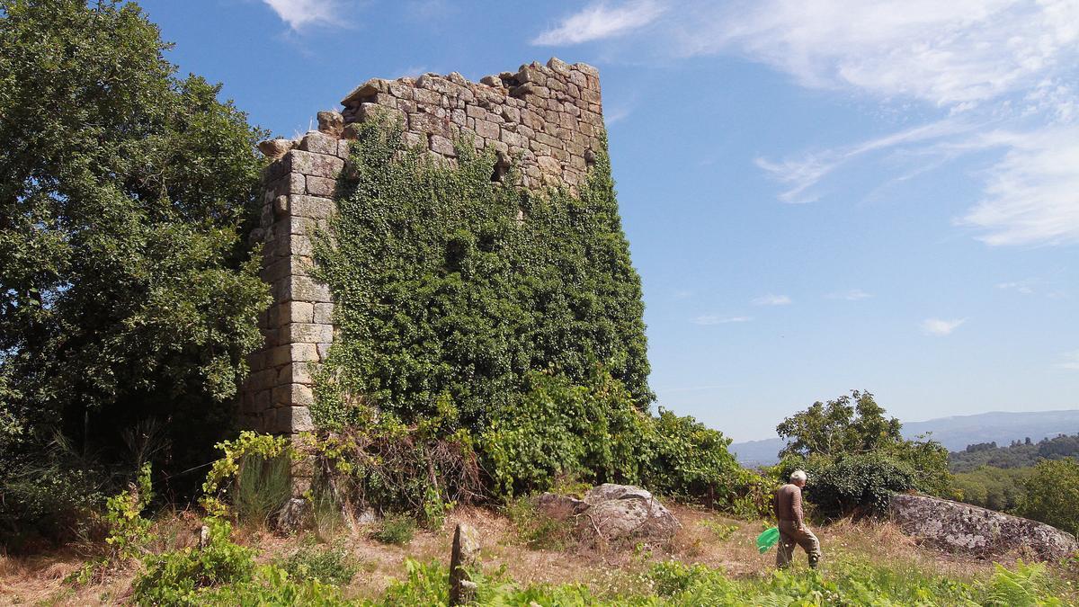 Un hombre pasea junto a la torre de Torán, en Taboadela, que la maleza invade. // IÑAKI OSORIO