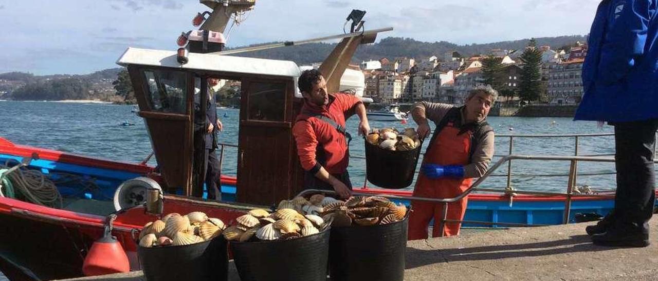 El &quot;Playa de Covelo&quot;, de Bueu, descarga sus capturas del día. Abajo, un técnico de la Consellería do Mar mide el tamaño de la vieira. // S.Álvarez