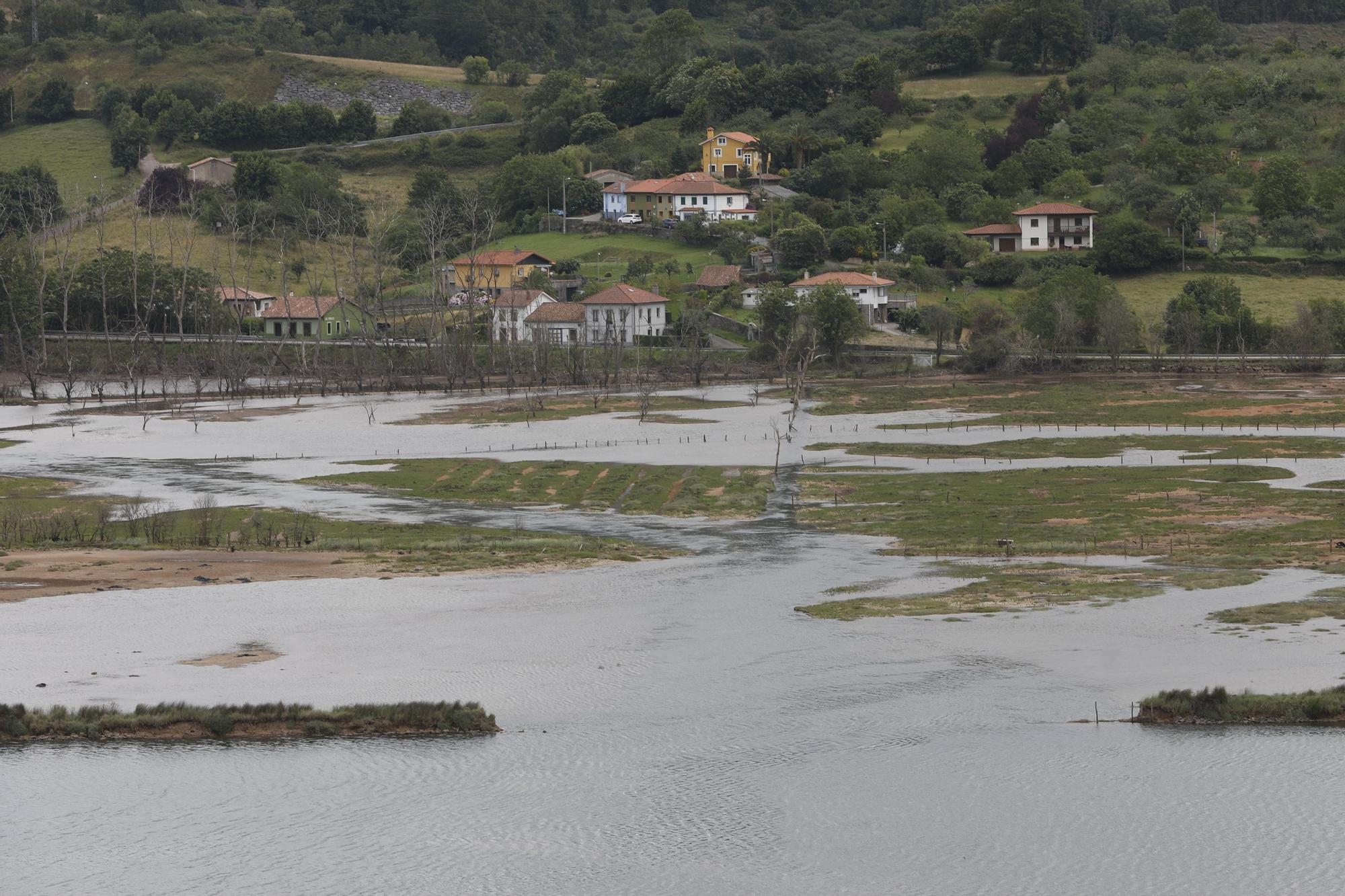 La ría de Villaviciosa se malbarata: la ruina de un entorno privilegiado asturiano