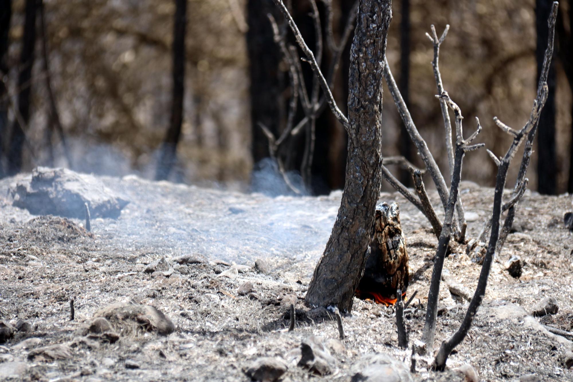 Els Bombers temen noves revifades de foc a Castellar de la Ribera