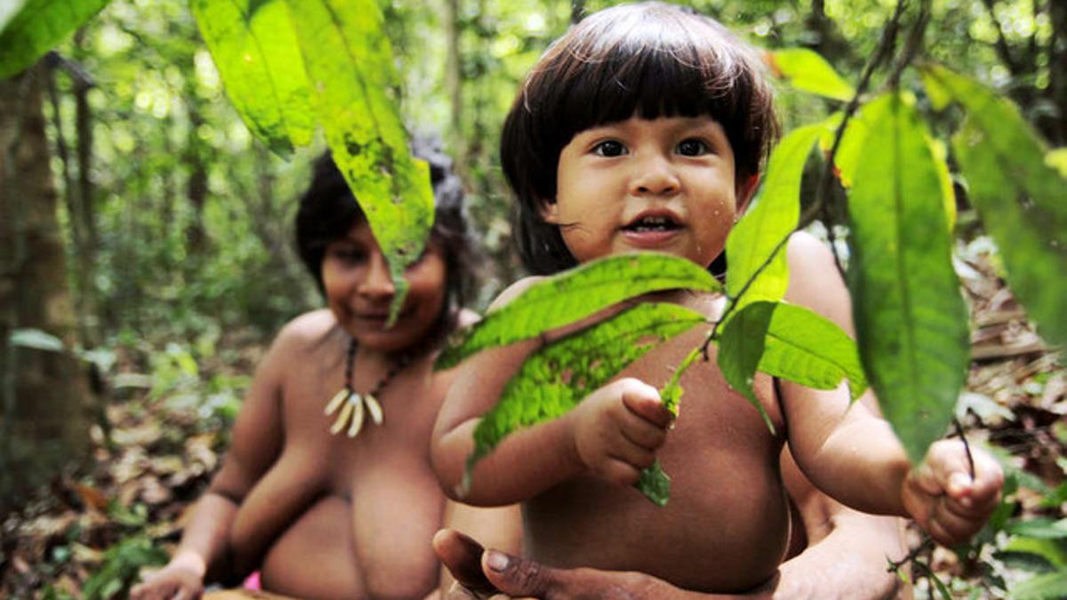 Los awás, la tribu más amenazada de la Tierra