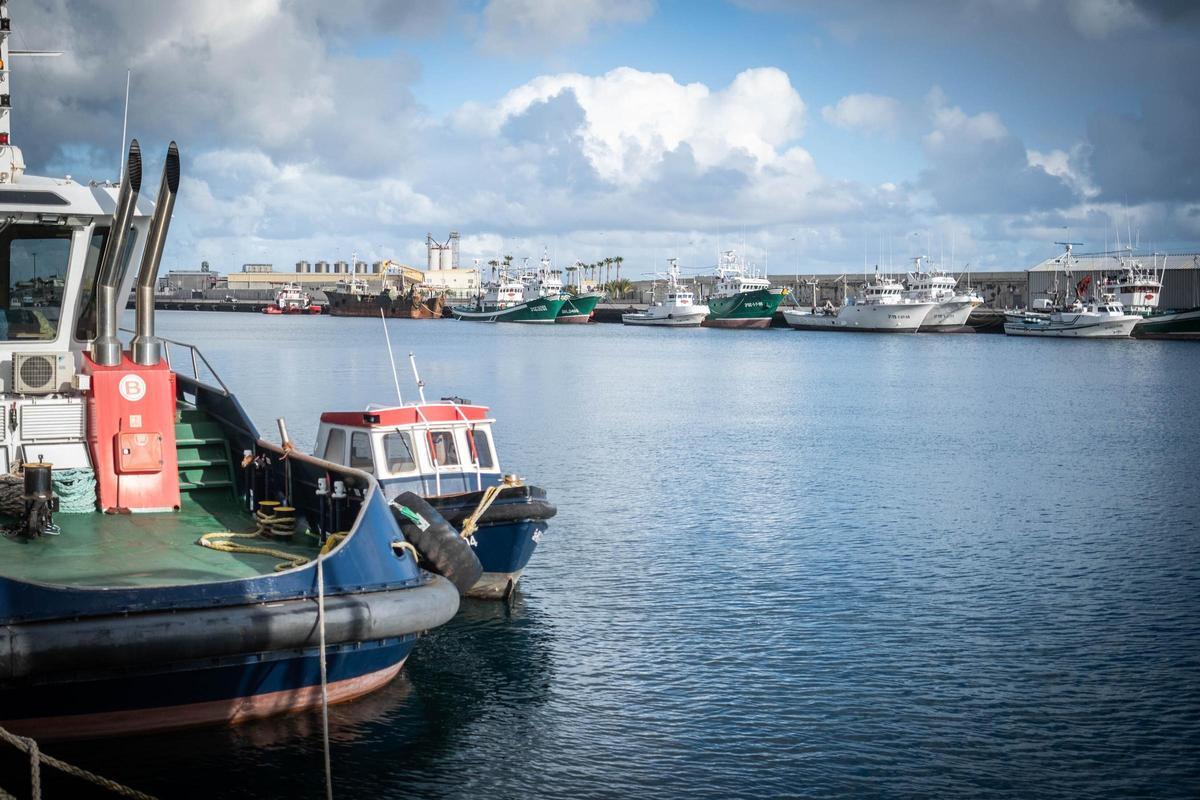 Dársena Pesquera, en el Puerto de Santa Cruz.