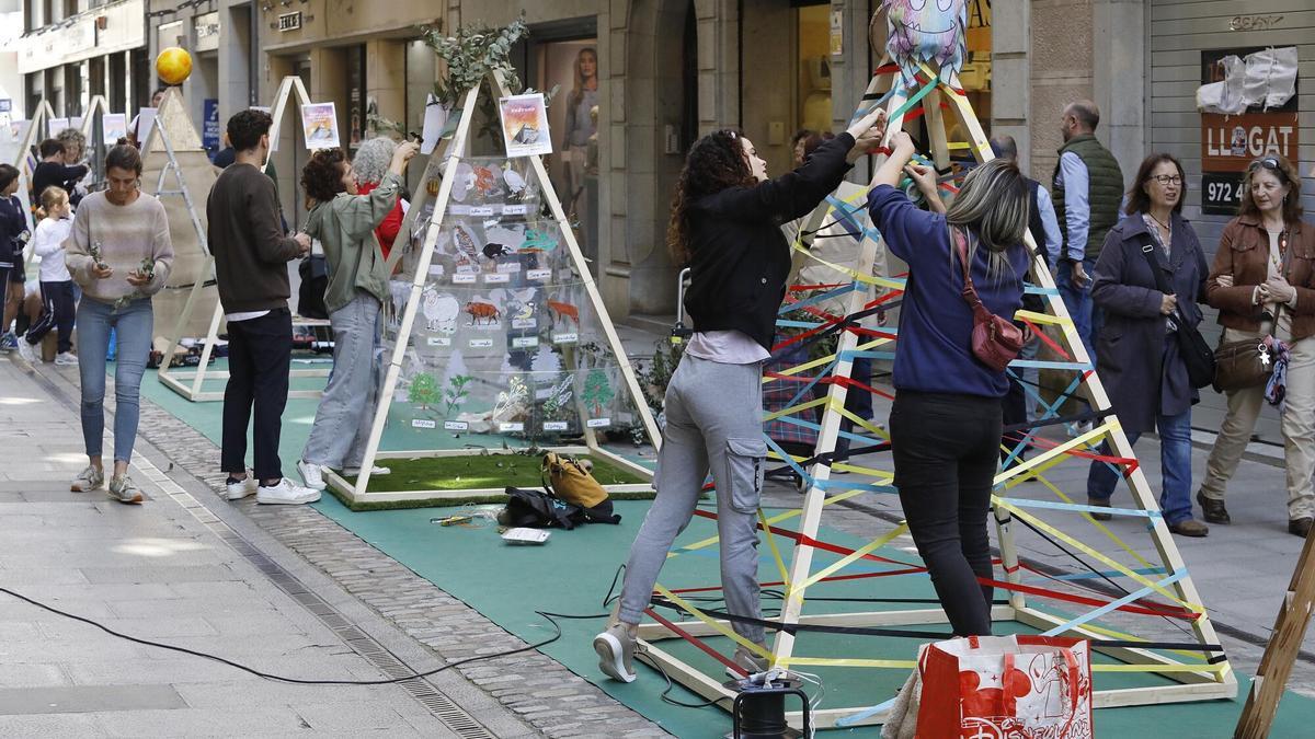 Imatge d'arxiu de mostres al Carrer Nou per Temps de Flors