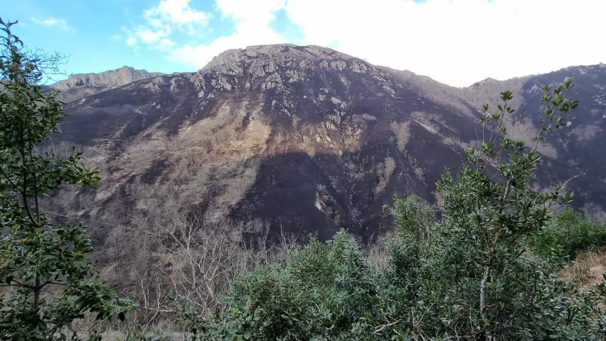 Imagen de la Montaña de Covadonga ennegrecida tras la quema-