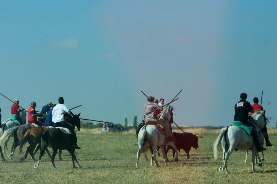 Villalpando despide los toros