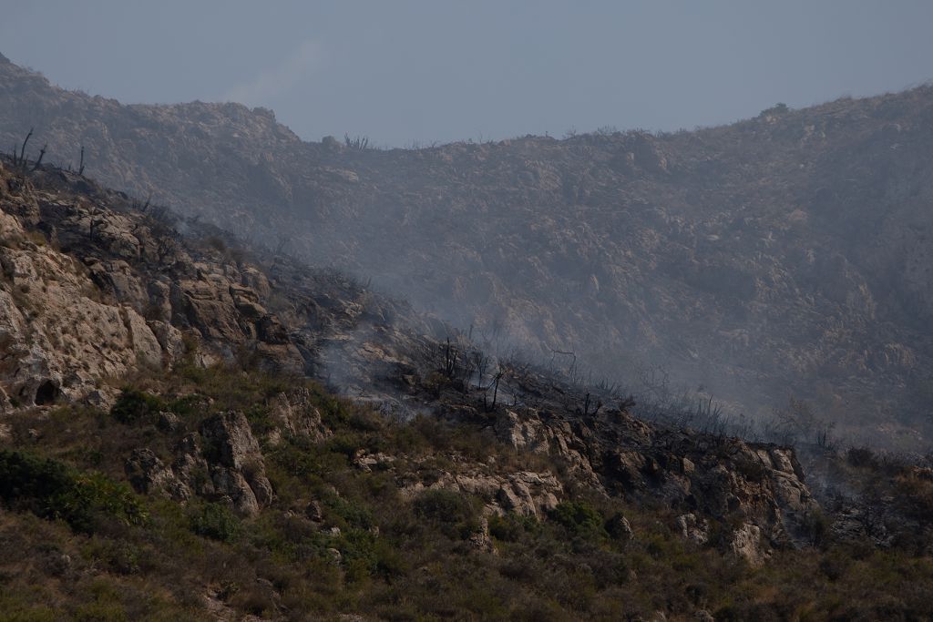 El incendio de las Cuestas del Cedacero, en imágenes