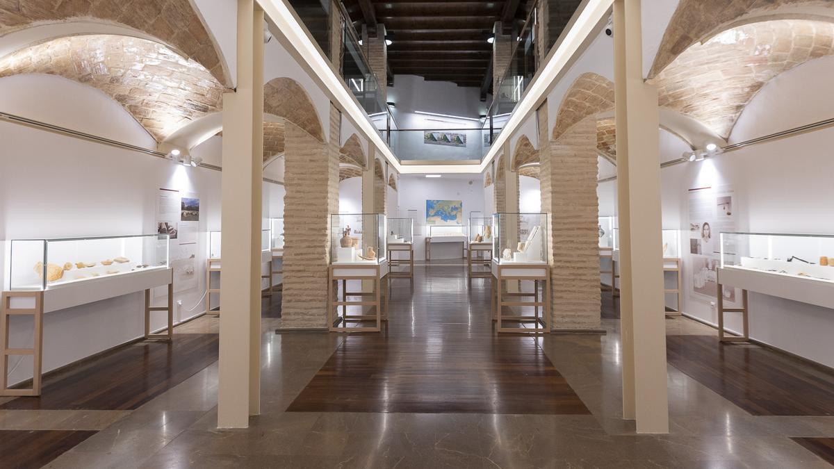 El Museu Arqueològic de Gandia, en una imagen reciente.