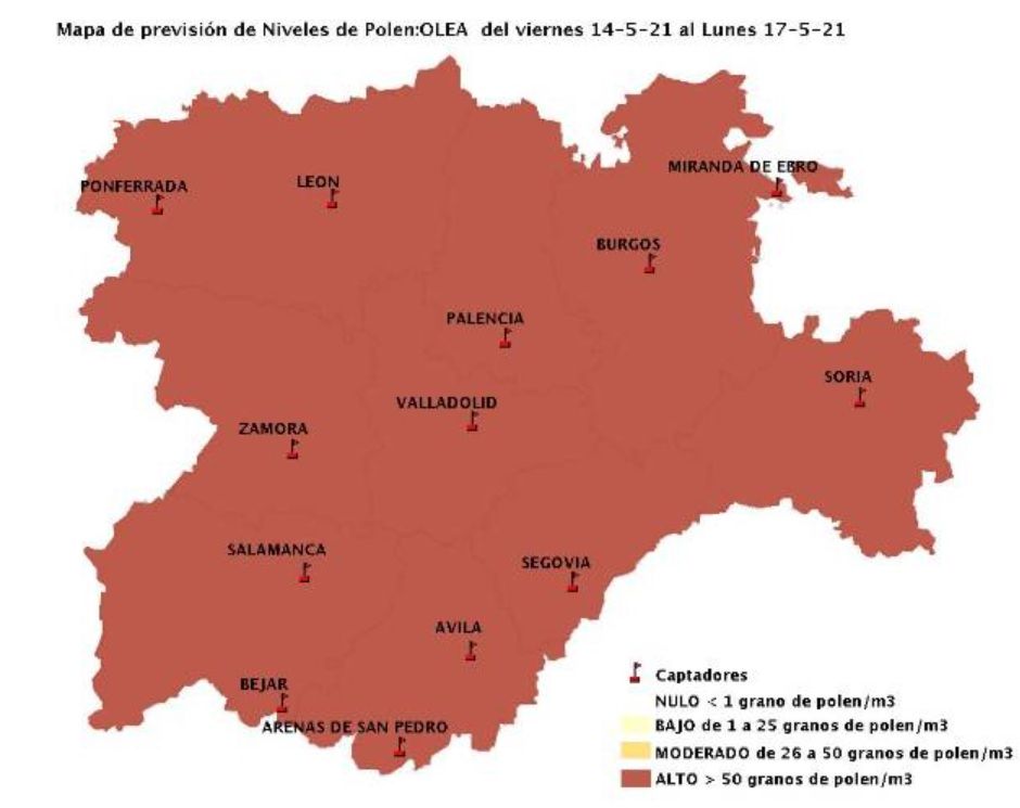 Nivel de polen previsto para el olivo, abundante en algunas zonas de la provincia y jardines urbanos