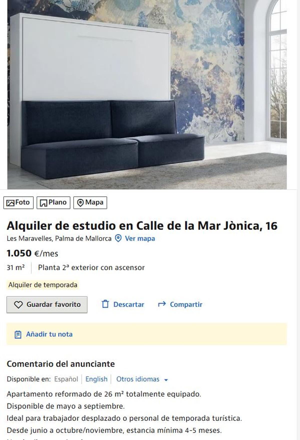 Un estudio de 31 metros cuadrados se alquila en Palma por 1.050 euros al mes.