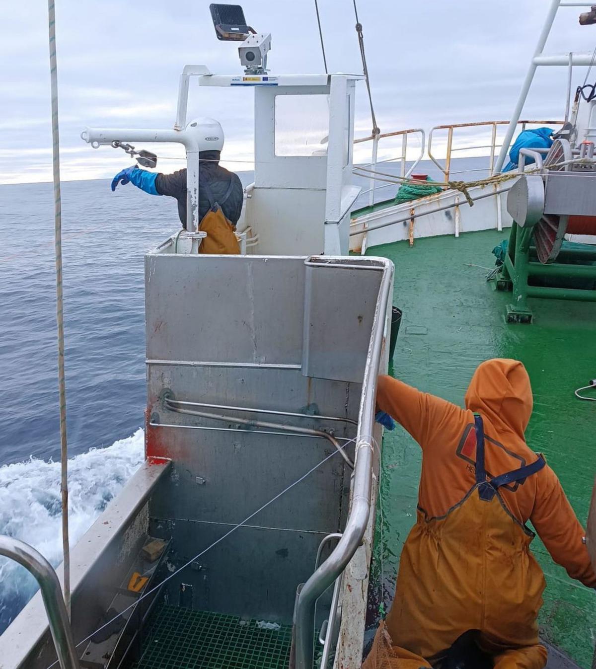 Trabajadores a bordo del “Lodairo” tratan el producto pescado.