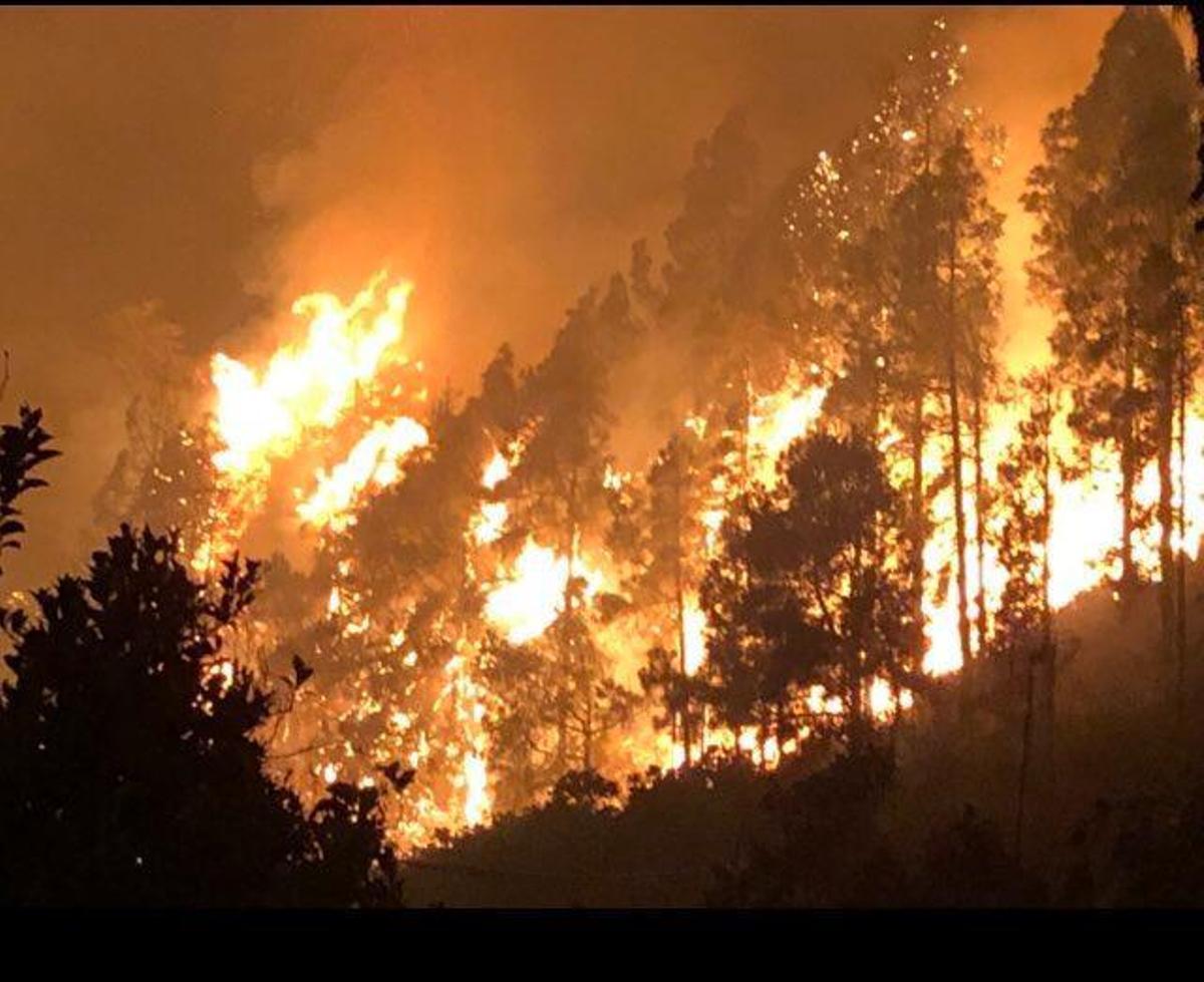 El incendio de Gran Canaria, a lunes 19 de agosto