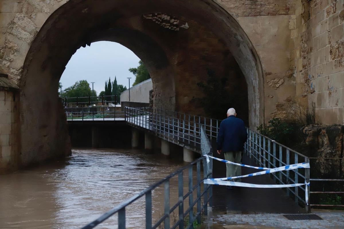 Cinta de la Policía Local en la pasarela bajo el puente Romano.