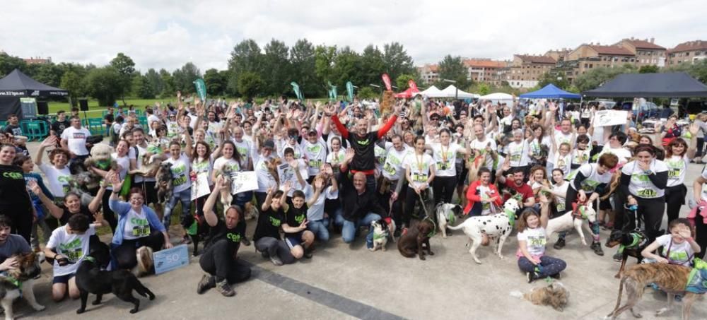 "Can We Run": Deporte, perros y solidaridad toman Gijón