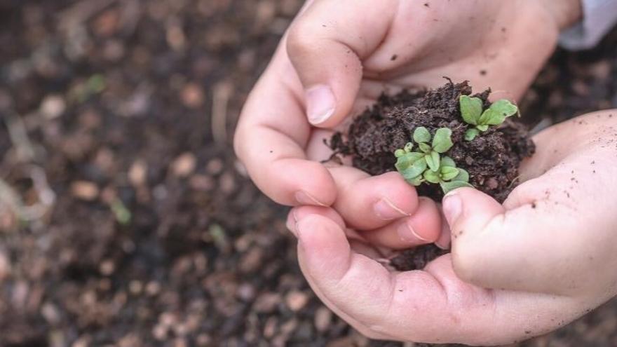 Cuida i Treballa el teu Hort Ecològic