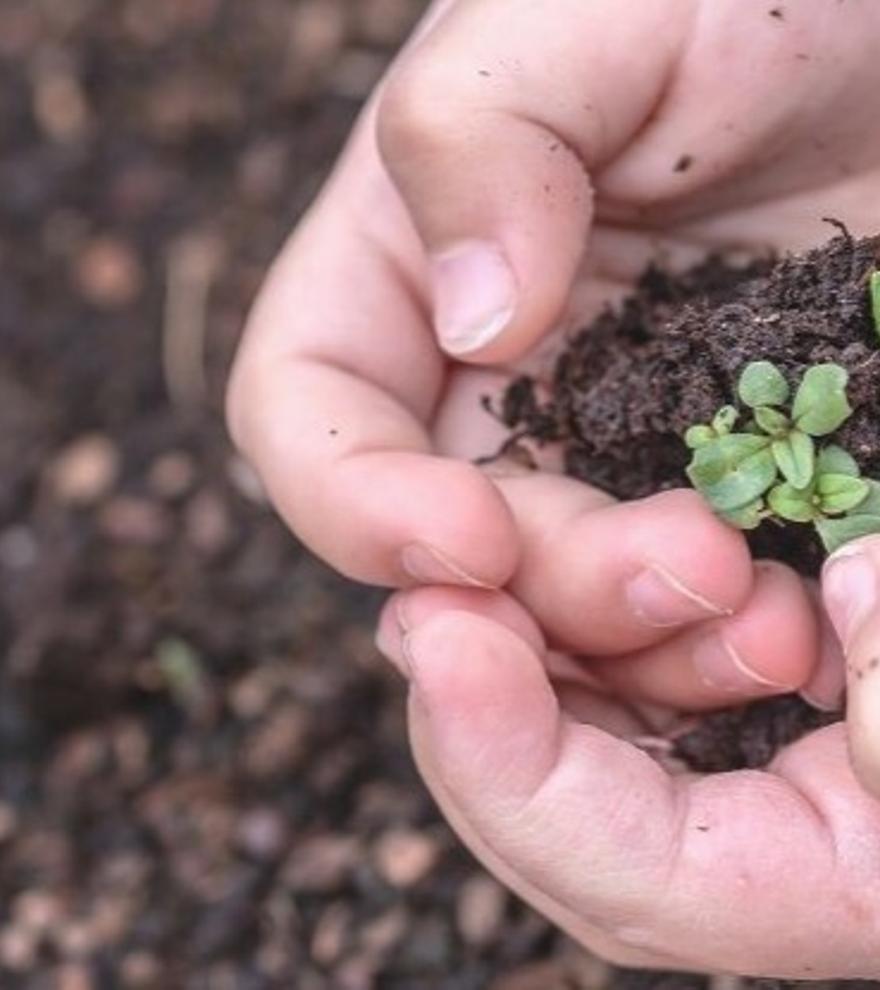 Cuida i Treballa el teu Hort Ecològic