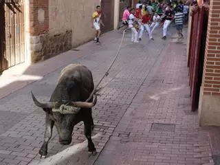 GALERÍA | El Toro Enmaromado de Benavente, en la Calle Matadero y Pasaje de las Guindas