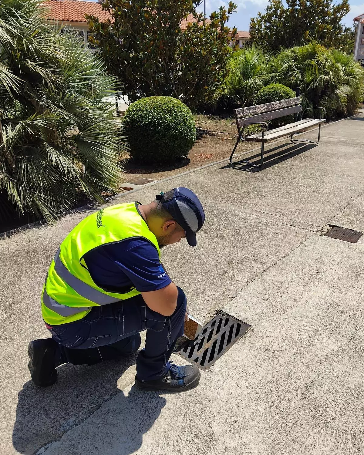 Los municipios de las tres comarcas intensifican las acciones para prevenir las plagas