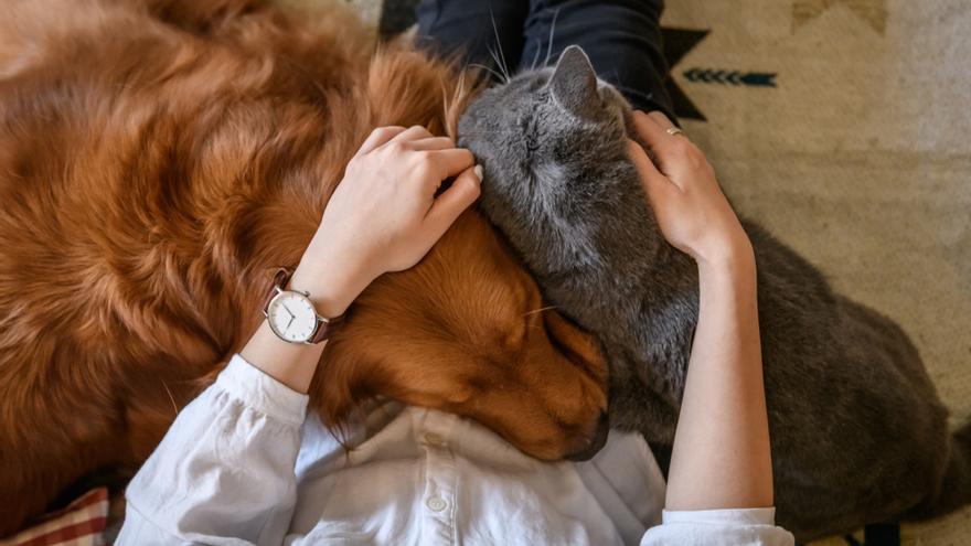 Un hombre abraza a sus mascotas.