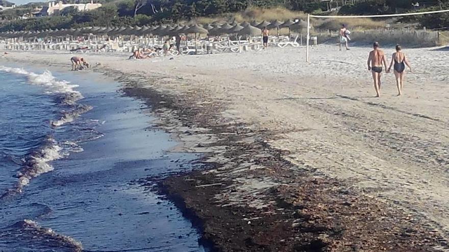 La zona próxima al Pont dels Anglesos donde estos días se han observado manchas.