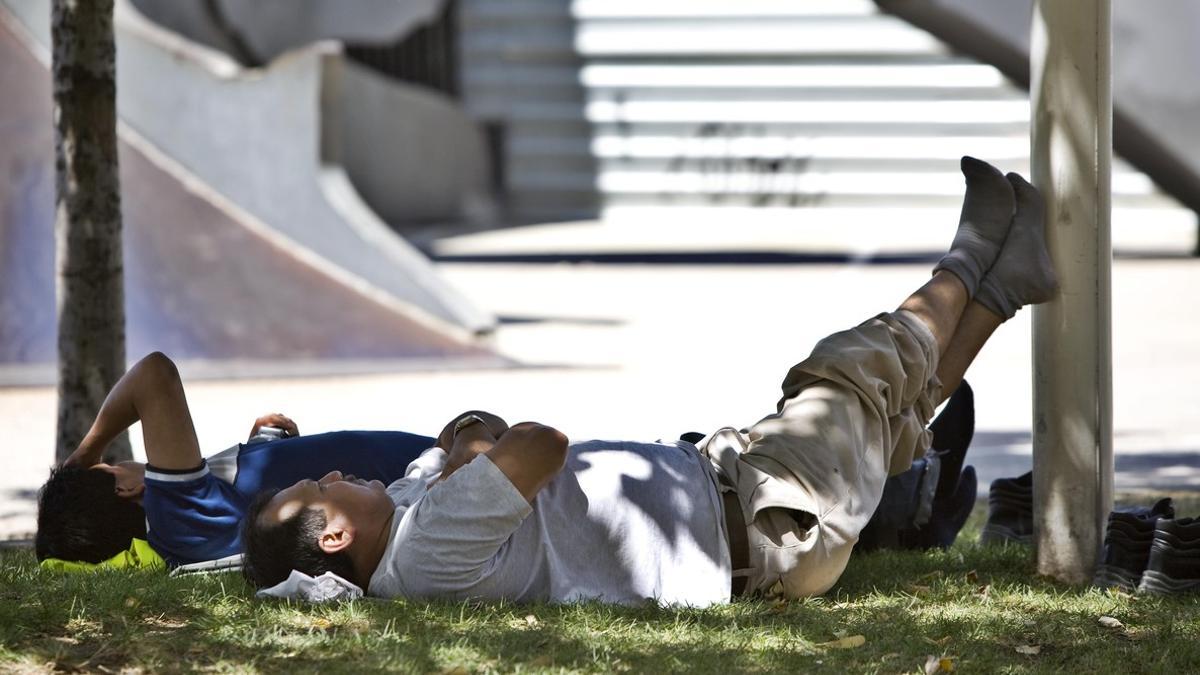 Dos hombres descansan bajo un árbol en plena ola de calor, en Barcelona.