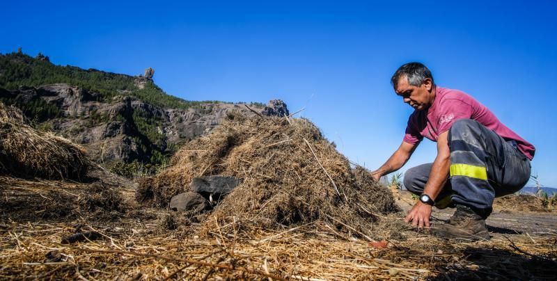 Tejeda. Carmelo Jiménez, Carbonero.  | 11/10/2019 | Fotógrafo: José Carlos Guerra