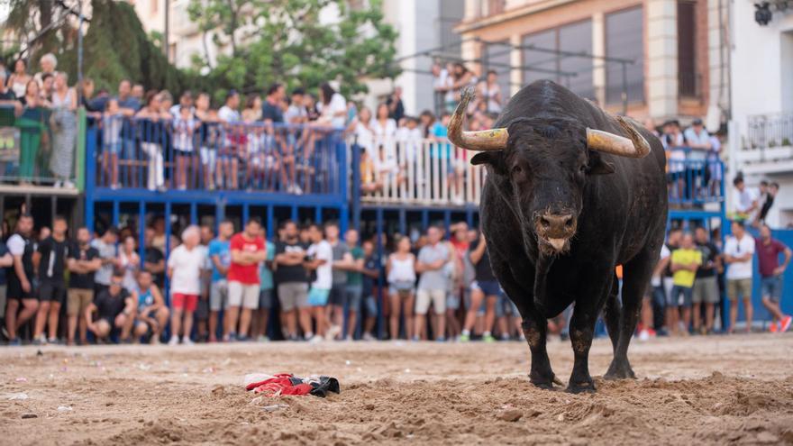 Los aficionados logran parar el veterinario en el bou al carrer