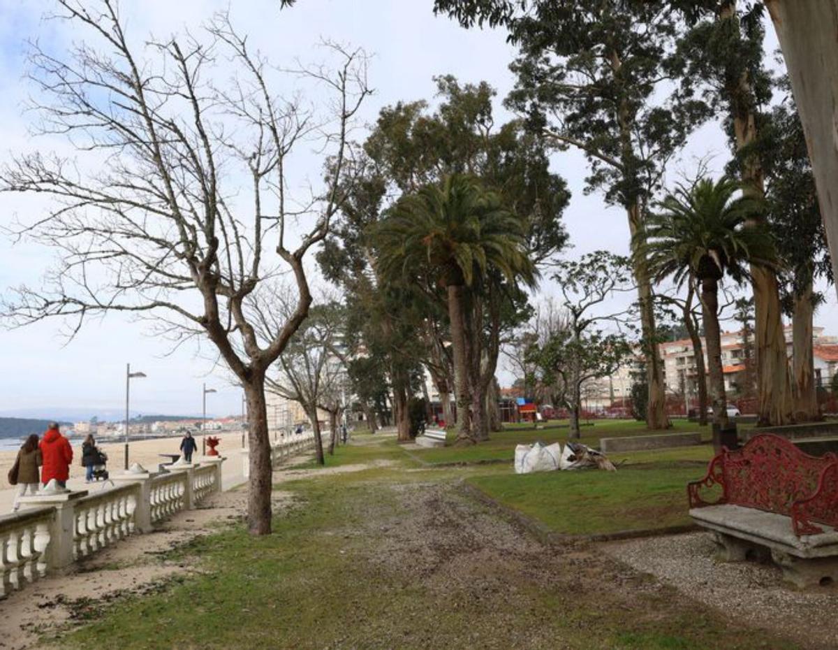 Parque de A Compostela. |  Noé Parga