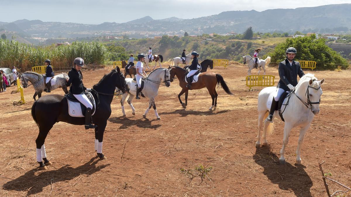 Día del caballo en Pino Santo, en ediciones anteriores