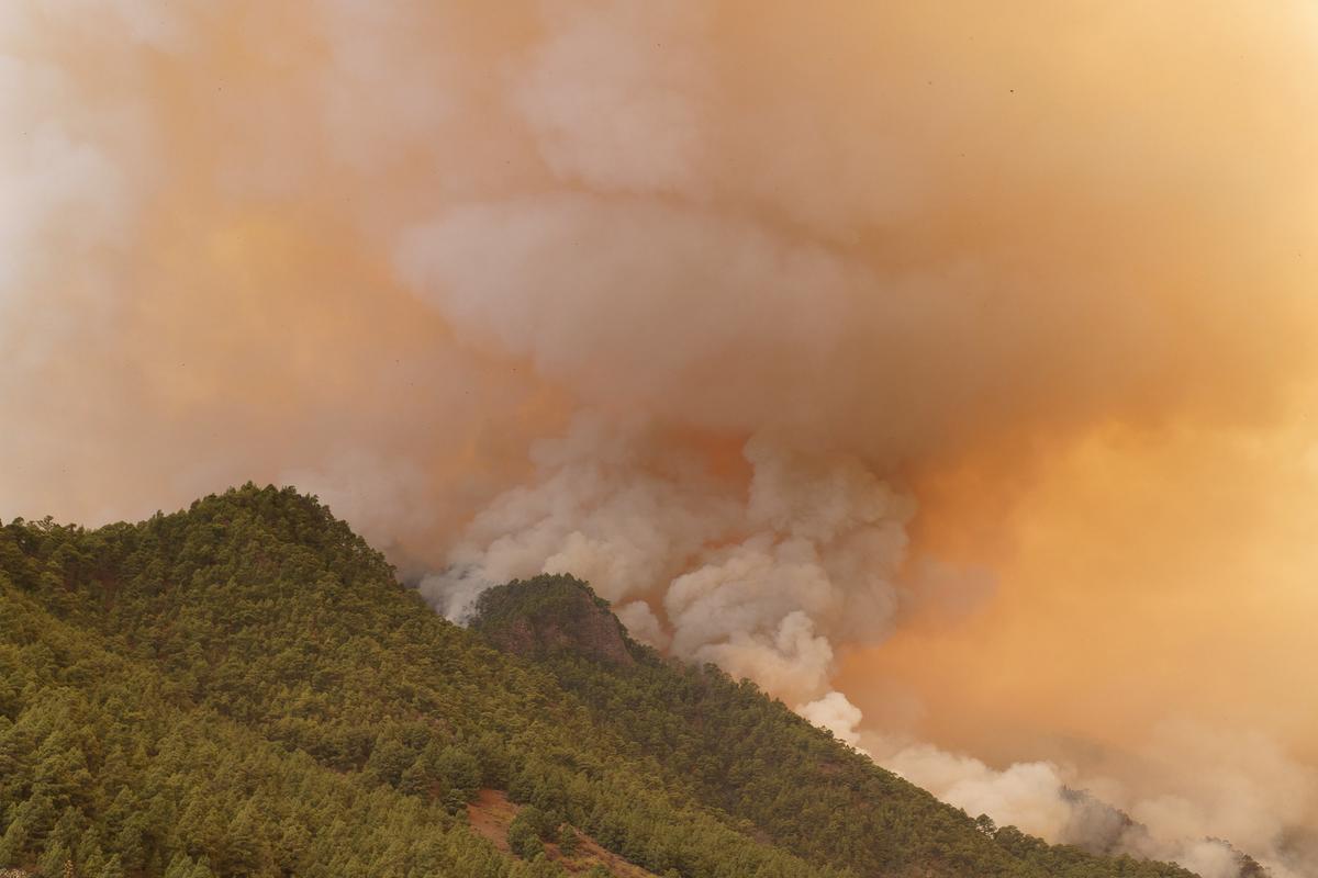 El incendio forestal de Tenerife, sin control