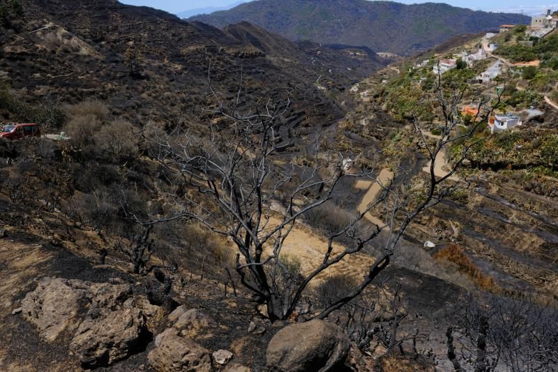 Consecuencias del incendio: De Valleseco a Artenar