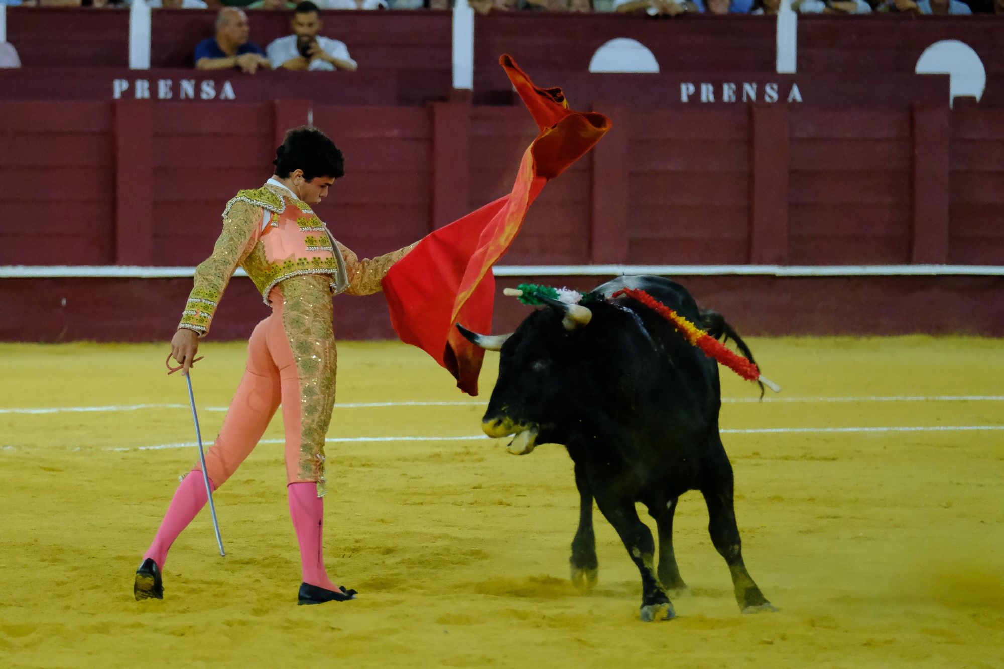 Toros en la Feria | Novena corrida de abono en La Malagueta: 3ª Semifinal de las Escuelas Taurinas