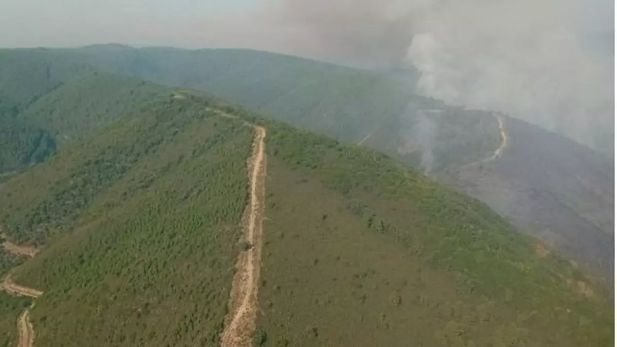 Muere un voluntario que luchaba en la extinción de un incendio en León