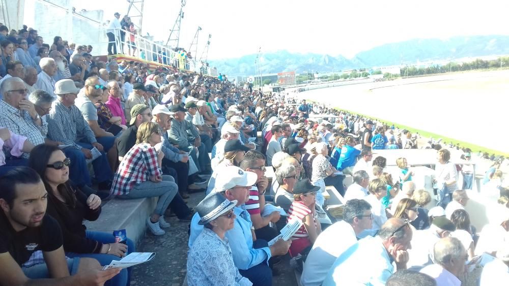 Esperança Mar sorprende en el 'Gran Premi Nacional'