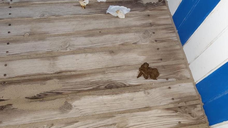El Ayuntamiento de El Campello reclama “civismo” ante los excrementos depositados en los aseos de las playas