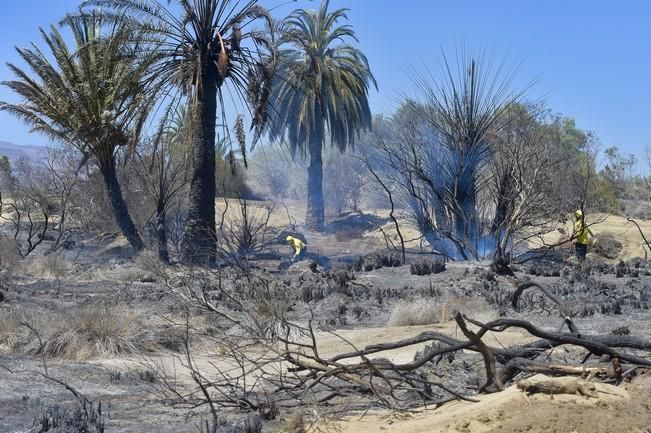 Incendio en la zona de las dunas de Maspalomas